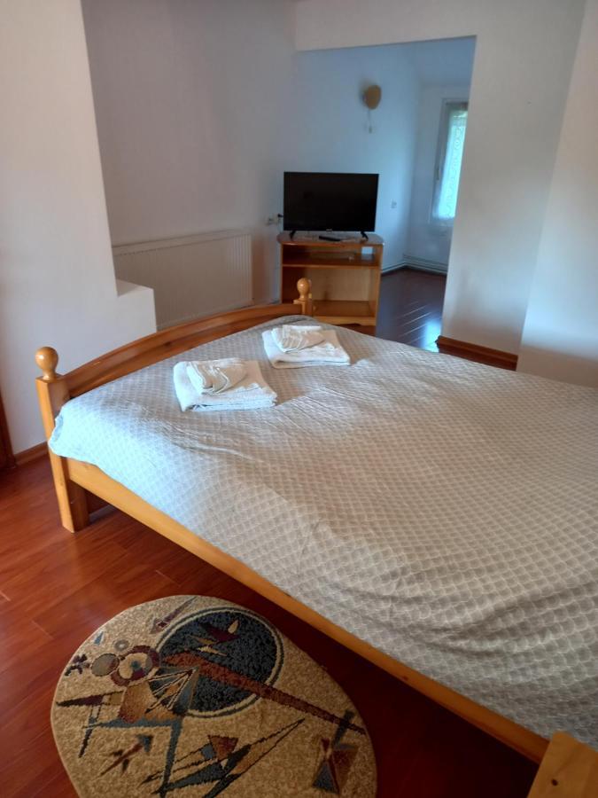 Casa Mihai Purcareni Extérieur photo