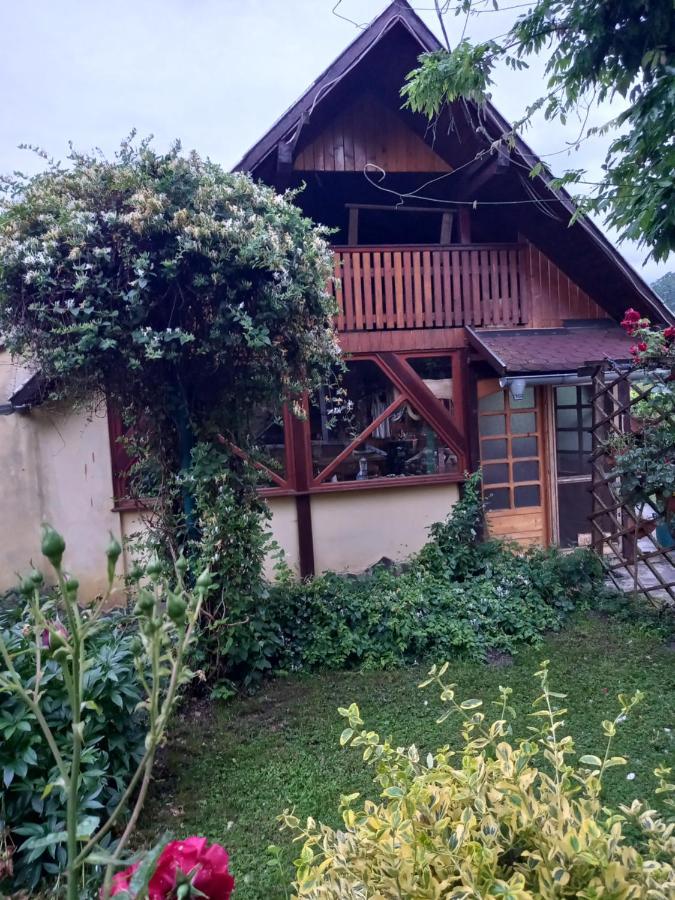 Casa Mihai Purcareni Extérieur photo